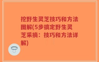 挖野生灵芝技巧和方法图解(5步搞定野生灵芝采摘：技巧和方法详解)
