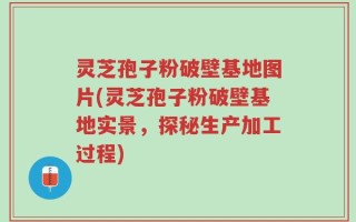灵芝孢子粉破壁基地图片(灵芝孢子粉破壁基地实景，探秘生产加工过程)