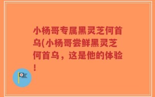 小杨哥专属黑灵芝何首乌(小杨哥尝鲜黑灵芝何首乌，这是他的体验！