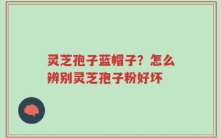 灵芝孢子蓝帽子？怎么辨别灵芝孢子粉好坏