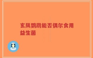 玄凤鹦鹉能否偶尔食用益生菌