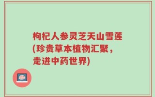 枸杞人参灵芝天山雪莲(珍贵草本植物汇聚，走进中药世界)