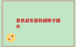 紫色益生菌韩国牌子图片
