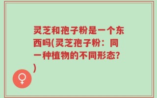 灵芝和孢子粉是一个东西吗(灵芝孢子粉：同一种植物的不同形态？)