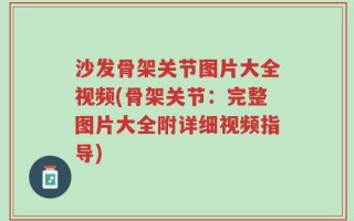 沙发骨架关节图片大全视频(骨架关节：完整图片大全附详细视频指导)