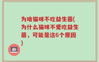 为啥猫咪不吃益生菌(为什么猫咪不爱吃益生菌，可能是这6个原因)