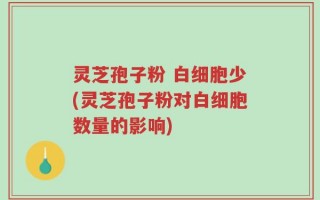 灵芝孢子粉 白细胞少(灵芝孢子粉对白细胞数量的影响)