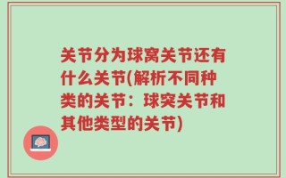 关节分为球窝关节还有什么关节(解析不同种类的关节：球突关节和其他类型的关节)
