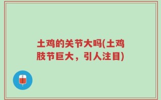 土鸡的关节大吗(土鸡肢节巨大，引人注目)
