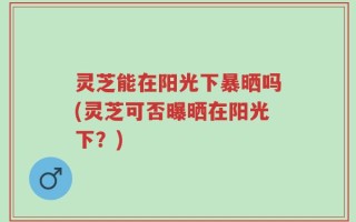 灵芝能在阳光下暴晒吗(灵芝可否曝晒在阳光下？)