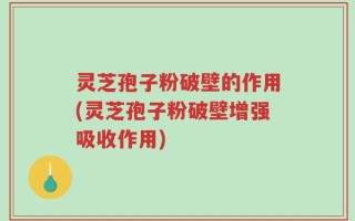 灵芝孢子粉破壁的作用(灵芝孢子粉破壁增强吸收作用)