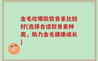 金毛吃哪款软骨素比较好(选择合适软骨素种类，助力金毛健康成长)