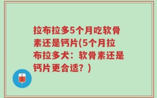 拉布拉多5个月吃软骨素还是钙片(5个月拉布拉多犬：软骨素还是钙片更合适？)