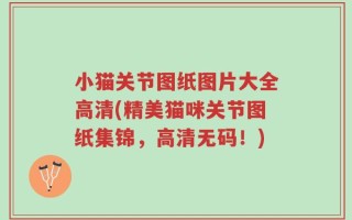 小猫关节图纸图片大全高清(精美猫咪关节图纸集锦，高清无码！)