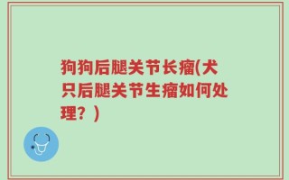 狗狗后腿关节长瘤(犬只后腿关节生瘤如何处理？)