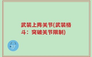 武装上阵关节(武装格斗：突破关节限制)