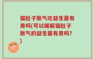 猫肚子胀气吃益生菌有用吗(可以缓解猫肚子胀气的益生菌有用吗？)