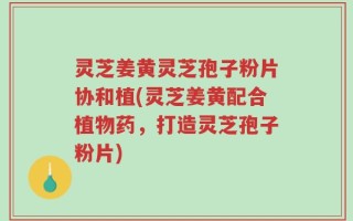 灵芝姜黄灵芝孢子粉片协和植(灵芝姜黄配合植物药，打造灵芝孢子粉片)