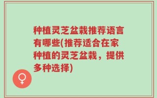 种植灵芝盆栽推荐语言有哪些(推荐适合在家种植的灵芝盆栽，提供多种选择)