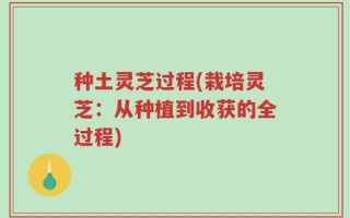 种土灵芝过程(栽培灵芝：从种植到收获的全过程)
