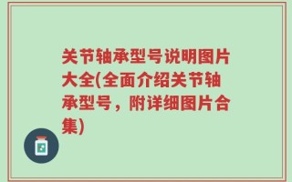关节轴承型号说明图片大全(全面介绍关节轴承型号，附详细图片合集)