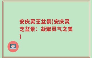 安庆灵芝盆景(安庆灵芝盆景：凝聚灵气之美)