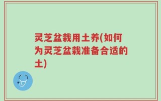 灵芝盆栽用土养(如何为灵芝盆栽准备合适的土)
