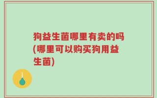 狗益生菌哪里有卖的吗(哪里可以购买狗用益生菌)
