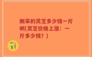 刚采的灵芝多少钱一斤啊(灵芝价格上涨：一斤多少钱？)