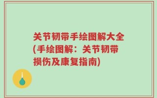 关节韧带手绘图解大全(手绘图解：关节韧带损伤及康复指南)
