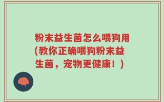粉末益生菌怎么喂狗用(教你正确喂狗粉末益生菌，宠物更健康！)