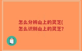 怎么分辨山上的灵芝(怎么识别山上的灵芝？