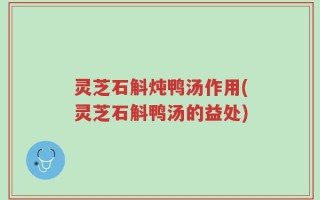 灵芝石斛炖鸭汤作用(灵芝石斛鸭汤的益处)