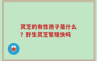 灵芝的有性孢子是什么？野生灵芝繁殖快吗