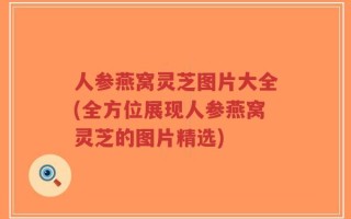 人参燕窝灵芝图片大全(全方位展现人参燕窝灵芝的图片精选)