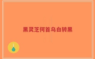 黑灵芝何首乌白转黑