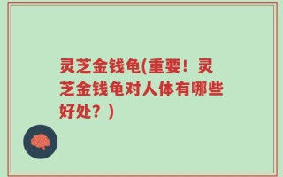灵芝金钱龟(重要！灵芝金钱龟对人体有哪些好处？)