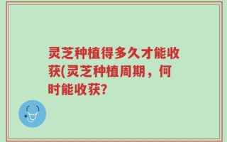 灵芝种植得多久才能收获(灵芝种植周期，何时能收获？