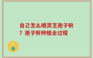 自己怎么晒灵芝孢子粉？孢子粉种植全过程