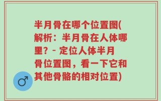 半月骨在哪个位置图(解析：半月骨在人体哪里？- 定位人体半月骨位置图，看一下它和其他骨骼的相对位置)
