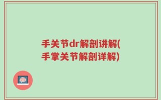 手关节dr解剖讲解(手掌关节解剖详解)