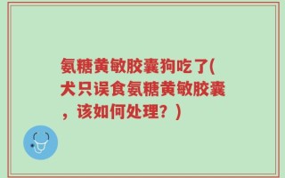 氨糖黄敏胶囊狗吃了(犬只误食氨糖黄敏胶囊，该如何处理？)