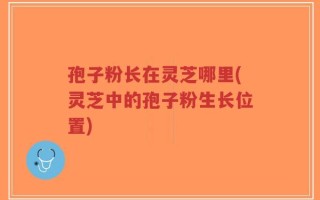 孢子粉长在灵芝哪里(灵芝中的孢子粉生长位置)