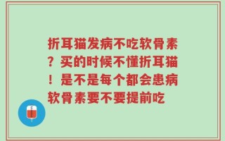 折耳猫发病不吃软骨素？买的时候不懂折耳猫！是不是每个都会患病软骨素要不要提前吃