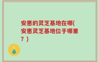 安惠的灵芝基地在哪(安惠灵芝基地位于哪里？)