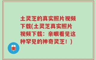 土灵芝的真实照片视频下载(土灵芝真实照片视频下载：亲眼看见这种罕见的神奇灵芝！)