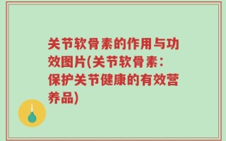 关节软骨素的作用与功效图片(关节软骨素：保护关节健康的有效营养品)
