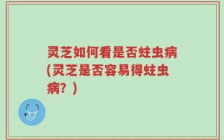 灵芝如何看是否蛀虫病(灵芝是否容易得蛀虫病？)