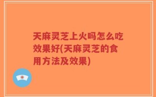 天麻灵芝上火吗怎么吃效果好(天麻灵芝的食用方法及效果)