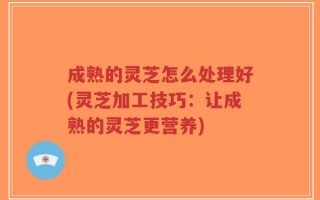 成熟的灵芝怎么处理好(灵芝加工技巧：让成熟的灵芝更营养)